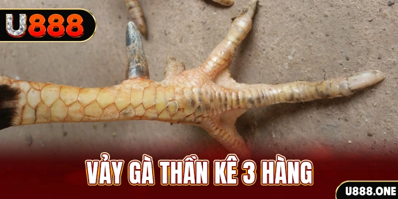 sv66 nổ hũ đổi thưởng . ai