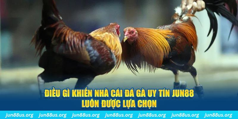 sv66 bắn cá 30