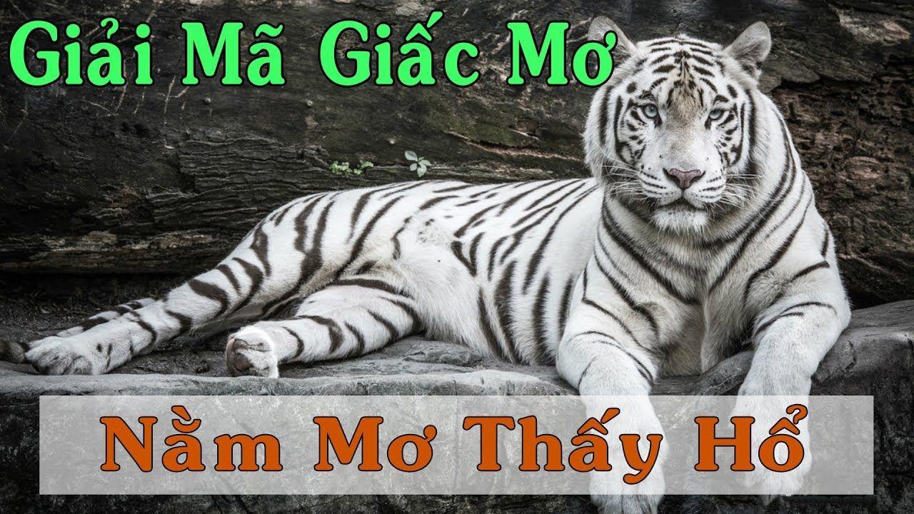 sv66 xổ số miền trung