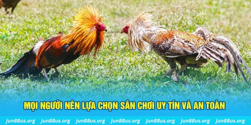 sv66 hơn cả bạn bè