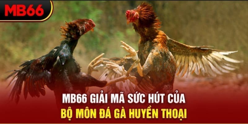 sv66 long bảo trong baccarat là gì