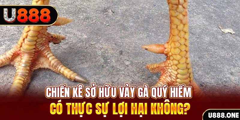 sv66 game cá cược máy bay