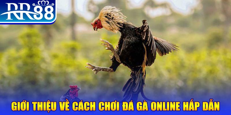 sv66 nổ hũ 2 mặt là gì