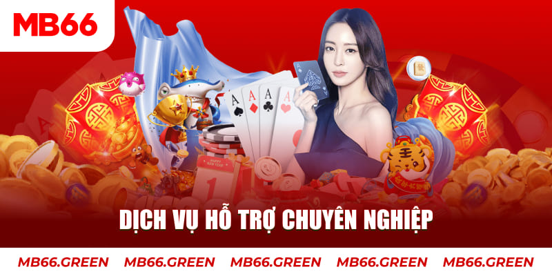 sv66 gà chọi cậu thanh