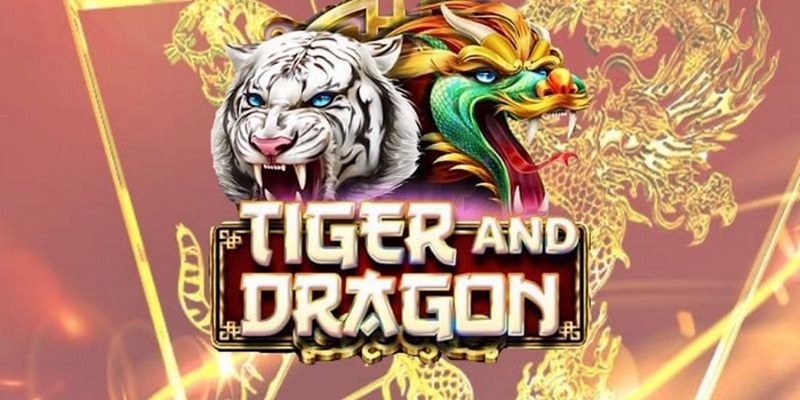 sv66 cá cược tiếng anh là gì