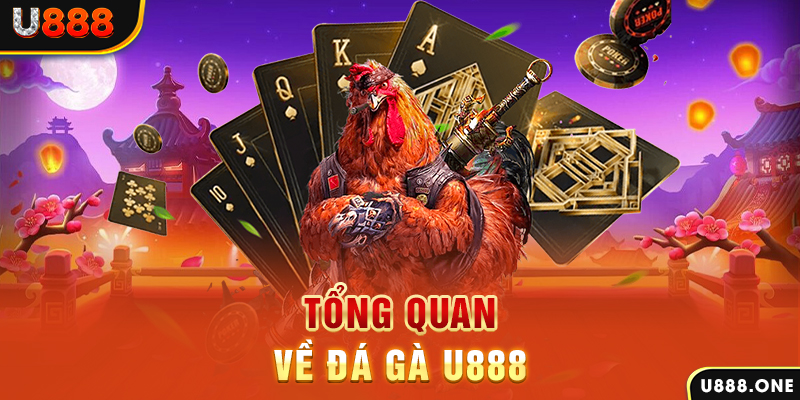 sv66 chạy quảng cáo cho game bài bị phạt như thế nào